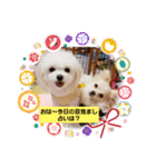 LUNA＆SEAスタンプだワン！！（個別スタンプ：1）