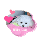LUNA＆SEAスタンプだワン！！（個別スタンプ：2）