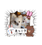 LUNA＆SEAスタンプだワン！！（個別スタンプ：3）