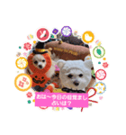 LUNA＆SEAです～超サム～冬編（個別スタンプ：1）