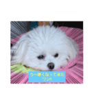 LUNA＆SEAです～超サム～冬編（個別スタンプ：2）