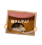 LUNA＆SEAです～超サム～冬編（個別スタンプ：3）