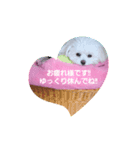 LUNA＆SEAです～超サム～冬編（個別スタンプ：4）