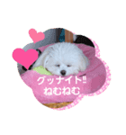 LUNA＆SEAです～超サム～冬編（個別スタンプ：5）