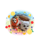 LUNA＆SEAです～超サム～冬編（個別スタンプ：6）