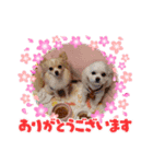 LUNA＆SEAです～超サム～冬編（個別スタンプ：7）