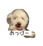 ぽてちのつぶやき（個別スタンプ：3）