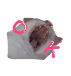 しらす 猫（個別スタンプ：8）