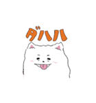 ほんわかポメラニアンの日常（個別スタンプ：2）