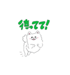 ほんわかポメラニアンの日常（個別スタンプ：4）