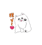 ほんわかポメラニアンの日常（個別スタンプ：7）