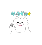 ほんわかポメラニアンの日常（個別スタンプ：8）