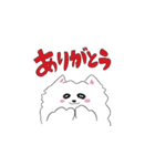 ほんわかポメラニアンの日常（個別スタンプ：10）