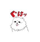 ほんわかポメラニアンの日常（個別スタンプ：15）