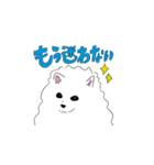ほんわかポメラニアンの日常（個別スタンプ：16）