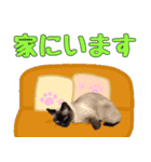 -だんちゃんスタンプ-（個別スタンプ：10）