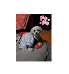 みるくで〜す（個別スタンプ：2）