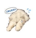 ペルシャ猫ななちゃん（個別スタンプ：22）
