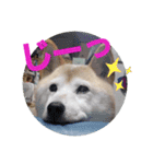 みんなと一緒12（個別スタンプ：4）