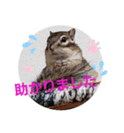 みんなと一緒12（個別スタンプ：11）