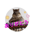みんなと一緒12（個別スタンプ：12）