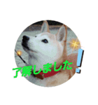 みんなと一緒12（個別スタンプ：14）