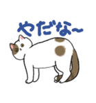 地方暮らしねこ るなちゃん（個別スタンプ：10）