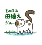 地方暮らしねこ るなちゃん（個別スタンプ：11）