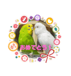 ゆきちゃんスタンプ7（個別スタンプ：4）