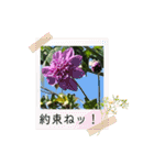ゆきちゃんスタンプ7（個別スタンプ：23）