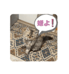 べべエマスタンプ（個別スタンプ：8）