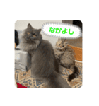 べべエマスタンプ（個別スタンプ：10）