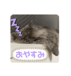 べべエマスタンプ（個別スタンプ：12）