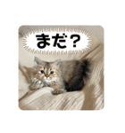べべエマスタンプ（個別スタンプ：26）