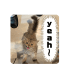 べべエマスタンプ（個別スタンプ：31）