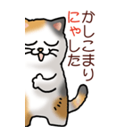 猫敬語パート1（個別スタンプ：3）