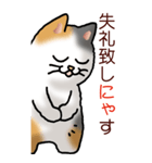 猫敬語パート1（個別スタンプ：4）