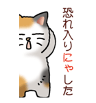 猫敬語パート1（個別スタンプ：7）