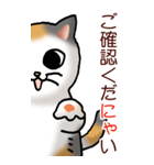 猫敬語パート1（個別スタンプ：14）