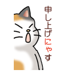 猫敬語パート1（個別スタンプ：17）