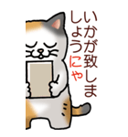 猫敬語パート1（個別スタンプ：26）