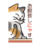 猫敬語パート1（個別スタンプ：27）