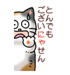 猫敬語パート1（個別スタンプ：28）