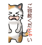 猫敬語パート1（個別スタンプ：31）