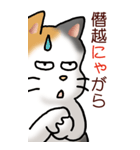 猫敬語パート1（個別スタンプ：33）