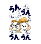 【Big】Babyシーズー犬 1『冬』（個別スタンプ：21）