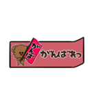 【省スペース】トイプードルが話します_4（個別スタンプ：8）