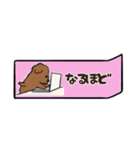 【省スペース】トイプードルが話します_4（個別スタンプ：11）