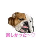 大好き金太郎ごー（個別スタンプ：1）
