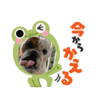 大好き金太郎ごー（個別スタンプ：3）